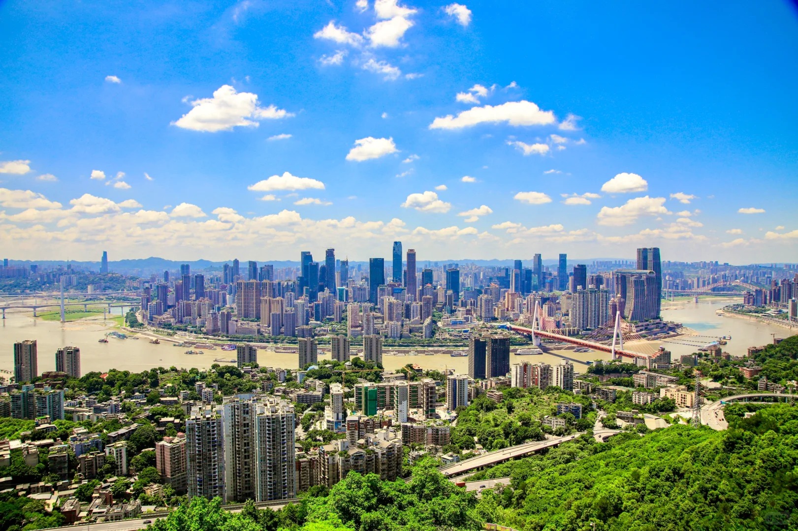 Nanshan One Tree