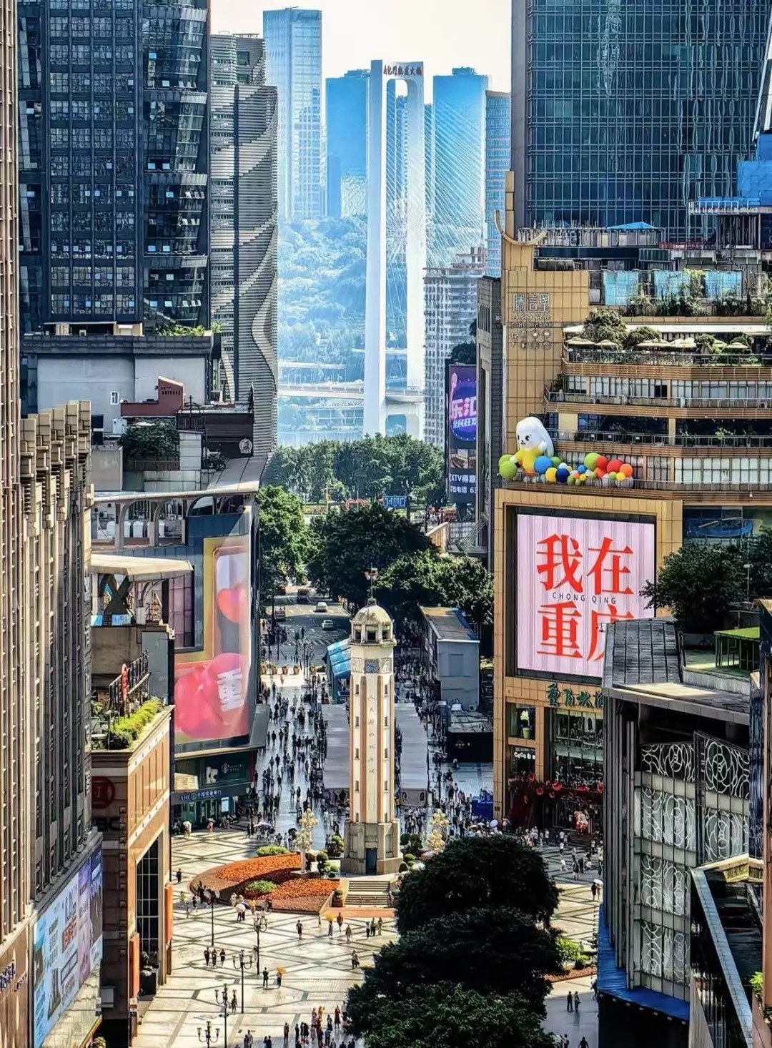 Tourist Travel Gallery