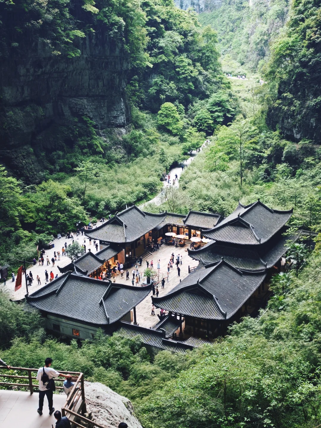 Tourist Travel Gallery